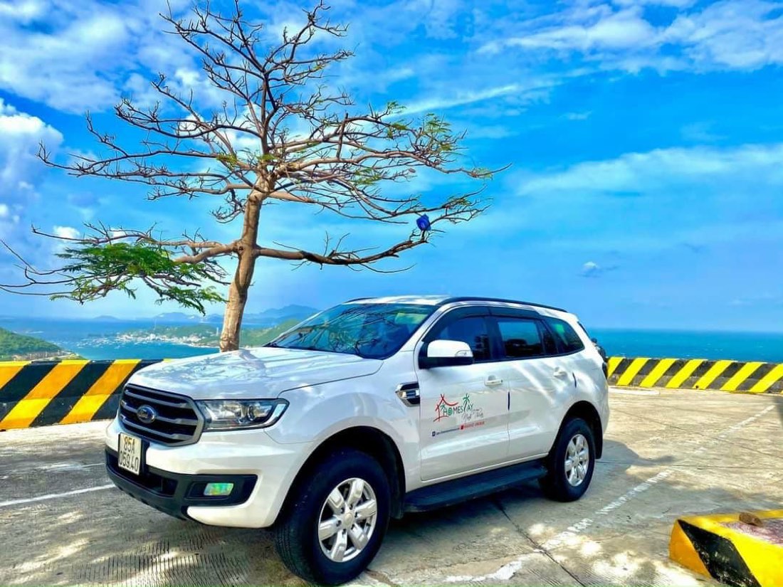 Xe Everest trắng dừng bên đường ven biển có cây cô đơn